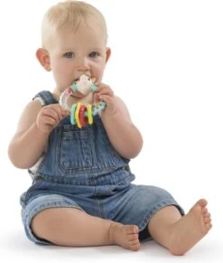 Sophie De Giraf - Rammelaar - Multi Textuur - Op Wit Rode Hangkaart -Babyproductenseries Winkel 1019x1200 1