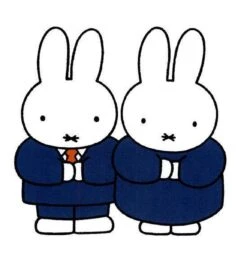 Nijntje Kleine Pluis -Babyproductenseries Winkel 1153x1200 2