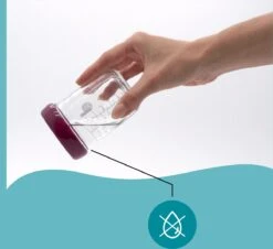 BabyMoov Glazen Babybols Multiset 240mlx4, 120mlx4 -Babyproductenseries Winkel 1200x1096 2