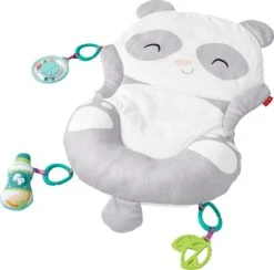 Fisher Price Allesinéén Pandaspeelmat -Babyproductenseries Winkel 1200x1184 1