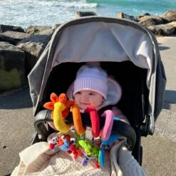 Playgro Boxspiraal Amazing Garden Twirly Whirly - Kinderwagen Speeltje - Activiteitenspiraal -Babyproductenseries Winkel 1200x1200 27