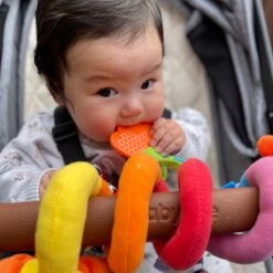 Playgro Boxspiraal Amazing Garden Twirly Whirly - Kinderwagen Speeltje - Activiteitenspiraal -Babyproductenseries Winkel 1200x1200 28