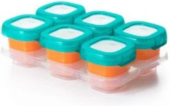 OXO Tot Babyvoeding Diepvriesbakjes - Babyvoeding Bewaarbakjes Met Deksel - 6x60 Ml- Teal -Babyproductenseries Winkel 1200x747