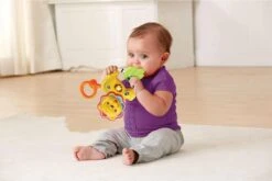 VTech Baby Brul & Speel Rammelaar - Educatief Babyspeelgoed - Bijtring - 3 Tot 24 Maanden 8 VTech Baby Brul & Speel Rammelaar - Educatief Babyspeelgoed - Bijtring - 3 Tot 24 Maanden -Babyproductenseries Winkel 1200x801