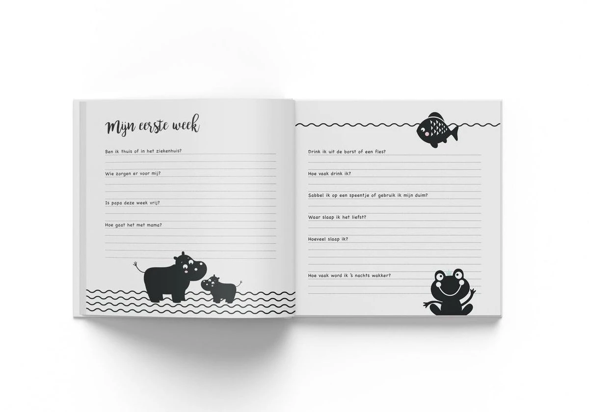 Hello - Baby's Eerste Jaar 3 Hello - Baby's Eerste Jaar - Afbeelding 3