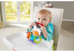 Fisher Price - Activity Zebra - Rammelaar - Speeltje En Bijtring - Grijpspeelgoed -Babyproductenseries Winkel 1200x842
