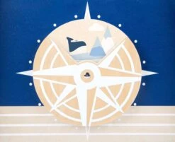 Baby Walvis Loopwagen - Houten Speelgoed Vanaf 1 Jaar -Babyproductenseries Winkel 1200x976