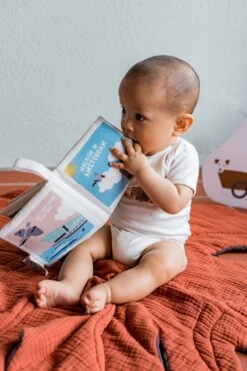 Zacht Babyboekje Amsterdam - 100% Katoen - Fairly Made - In Mooie Geschenkverpakking - Duurzaam En Origineel Kraamcadeau -Babyproductenseries Winkel 800x1200 22