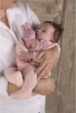 Nijntje - Rammelaar - Pink Baby Rib - 0+ Maanden -Babyproductenseries Winkel 810x1200