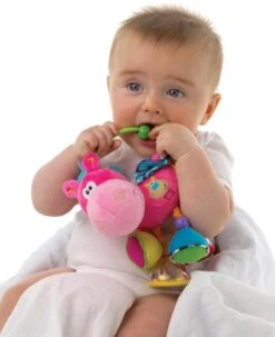 Playgro Clip Clop Rammelaar - Roze - Activiteitenspeeltje - Kraamkado -Babyproductenseries Winkel 979x1200